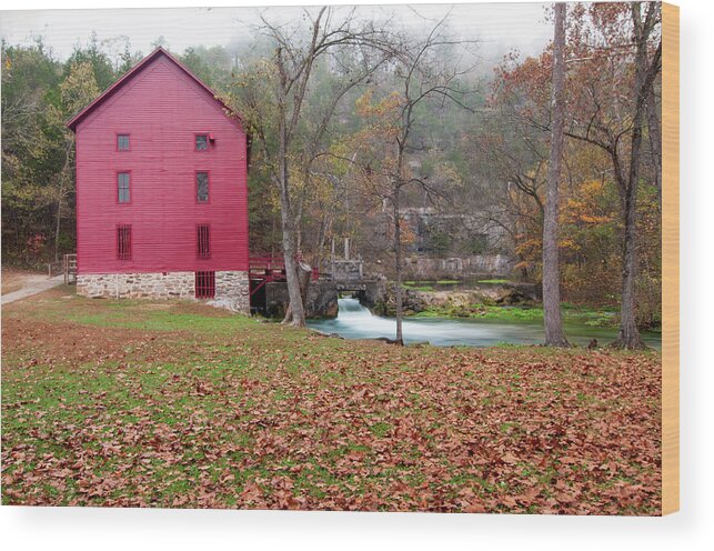 Missouri Wood Print featuring the photograph Children of the Sycamore by Steve Stuller