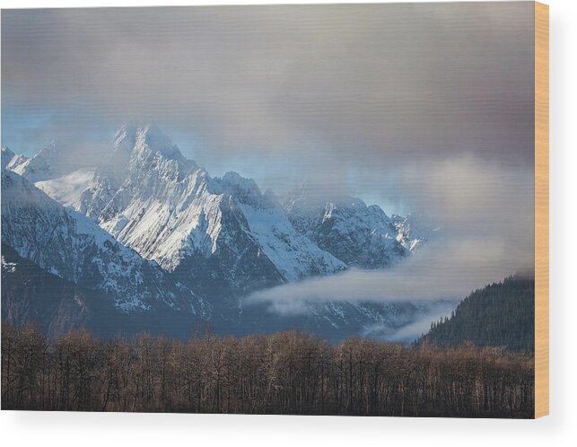 Alaska Wood Print featuring the photograph Chilkat mountains with clearing fog by Michele Cornelius