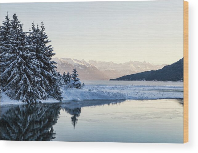 Alaska Wood Print featuring the photograph Chilkoot Inlet in Winter by Michele Cornelius