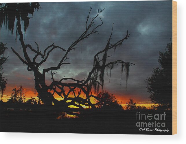 Florida Sunset Wood Print featuring the photograph Chilling Sunset by Barbara Bowen