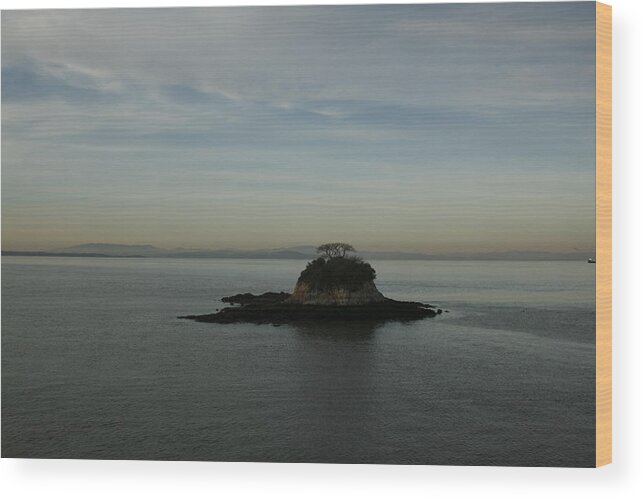 Rat Island Wood Print featuring the photograph China Camp Island by Suzanne Lorenz