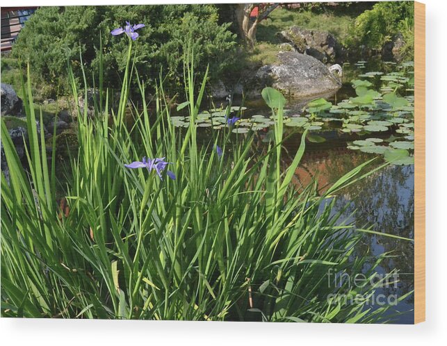 Flower Wood Print featuring the photograph Chinese Garden by Carol Bradley