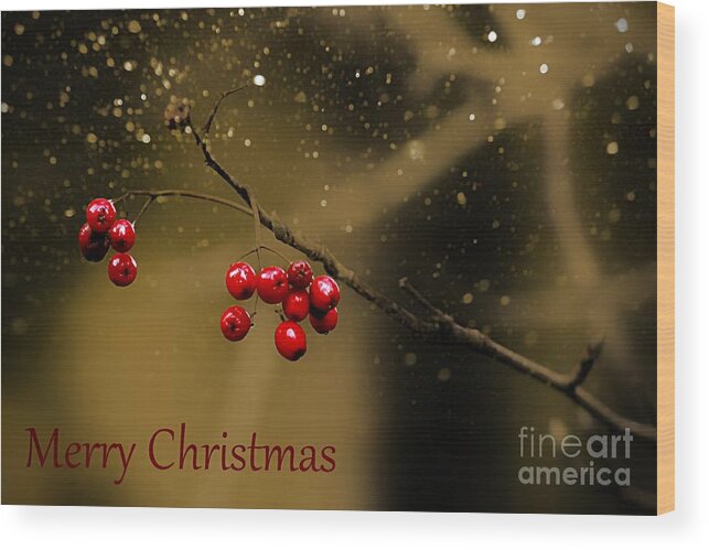 Merry Christmas Wood Print featuring the photograph Christmas Berries by Clare Bevan