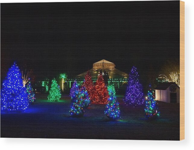  Wood Print featuring the photograph Christmas Garden 7 by Rodney Lee Williams