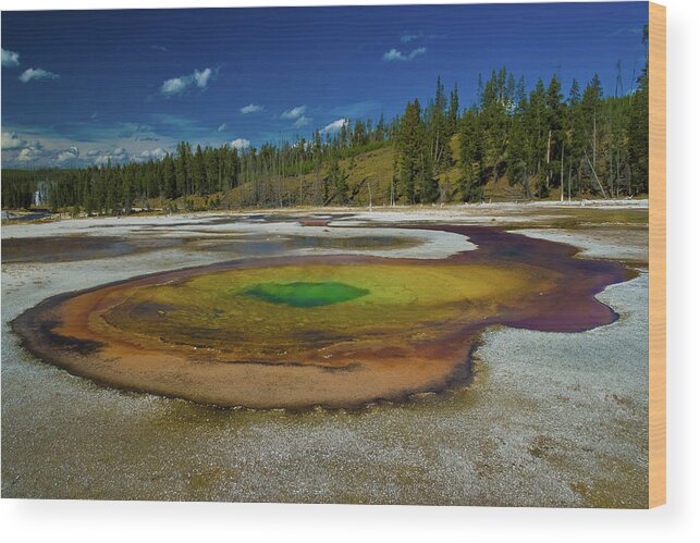 Yellowstone Wood Print featuring the photograph Chromatic Pool by Roger Mullenhour