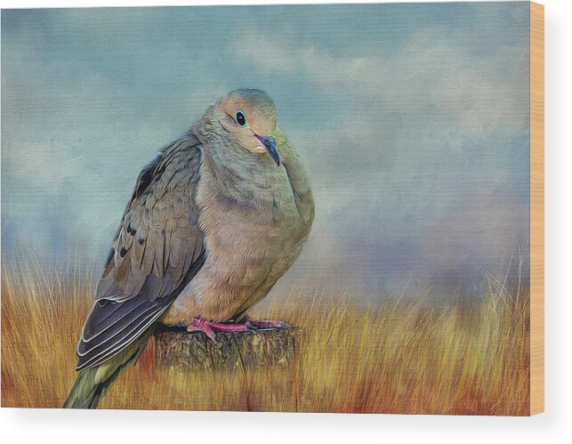 Dove Wood Print featuring the photograph Chubby Dove by Cathy Kovarik