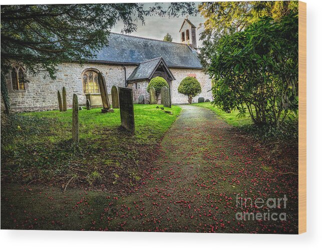 Saint Elidan Wood Print featuring the photograph Church Berries by Adrian Evans