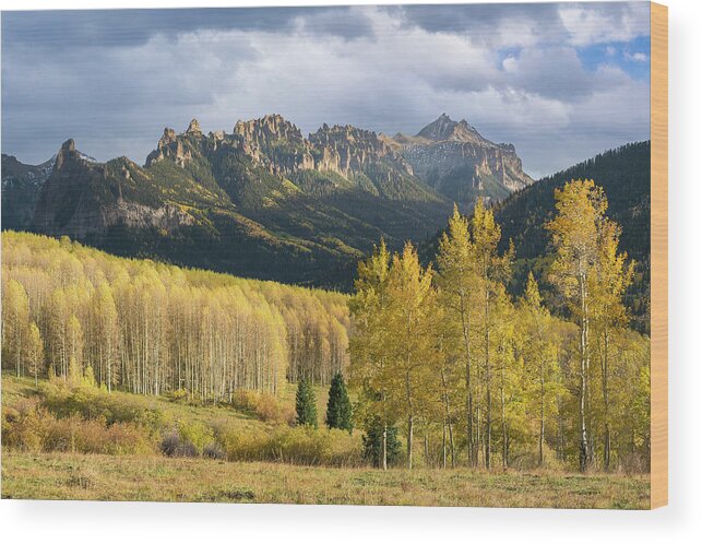 Colorado Wood Print featuring the photograph Cimarron Gold by Aaron Spong