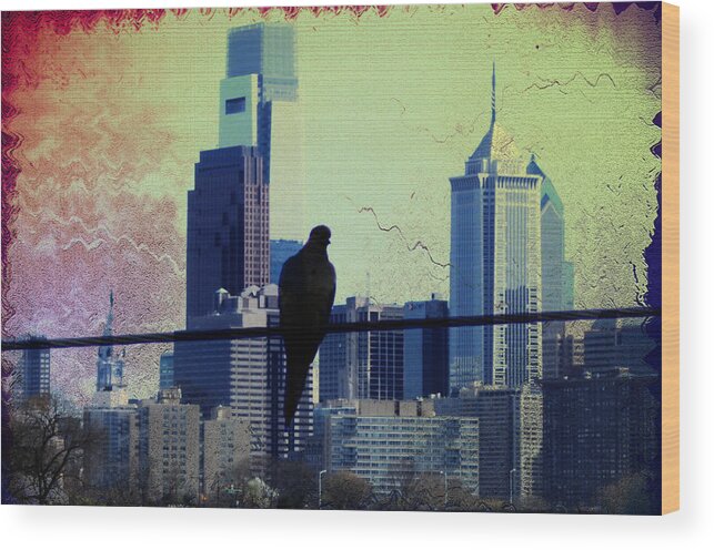 Philadelphia Wood Print featuring the photograph City Bird by Bill Cannon