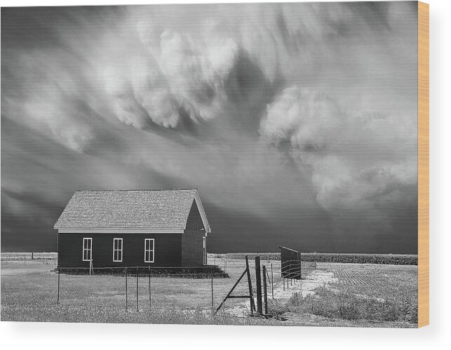 Severe Weather Wood Print featuring the photograph Clarendon Lion by Scott Cordell