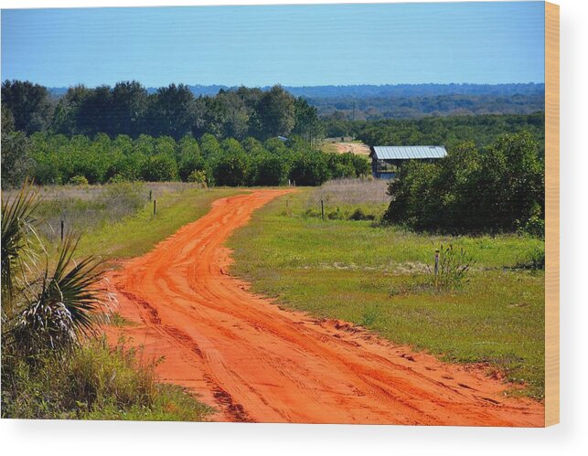 Country Wood Print featuring the photograph Clay Road by Alison Belsan Horton