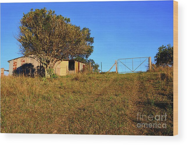 Clear Day At The Farm Wood Print featuring the photograph Clear Day at the Farm by Kaye Menner by Kaye Menner