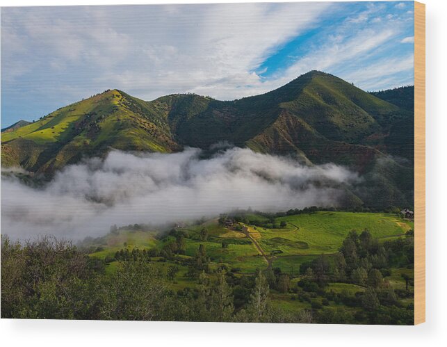 Santa Barbara Wood Print featuring the photograph Clearing Storm, Figueroa Mountain by TM Schultze