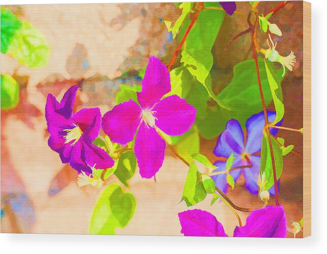 Nature Wood Print featuring the photograph Clematis Summer by Judy Wright Lott
