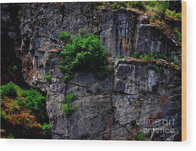Art For The Wall...patzer Photography Wood Print featuring the photograph Cliffhanger by Greg Patzer