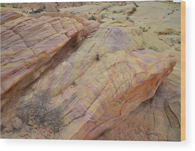 Valley Of Fire State Park Wood Print featuring the photograph Cliffs of Color in Valley of Fire by Ray Mathis