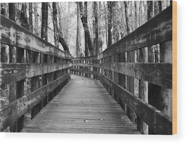 Black And White Wood Print featuring the photograph Closing In by Melanie Moraga