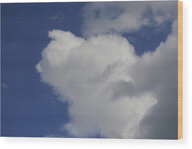 Clouds Wood Print featuring the photograph Cloud Trol by James McAdams