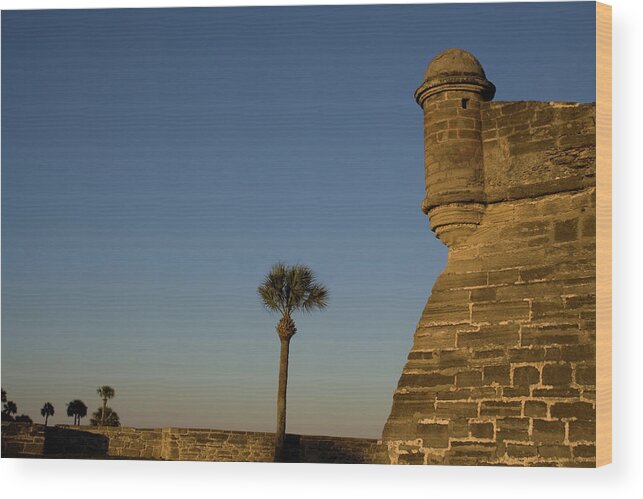 Cloudless Palms Wood Print featuring the photograph Cloudless Palms by Dylan Punke
