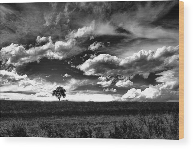 Tree Wood Print featuring the photograph Clouds On The Prairie - black and white photography by Ann Powell
