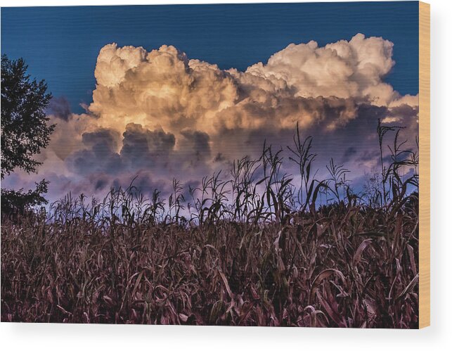 Fagagna Wood Print featuring the photograph Clouds over Fagagna by Wolfgang Stocker