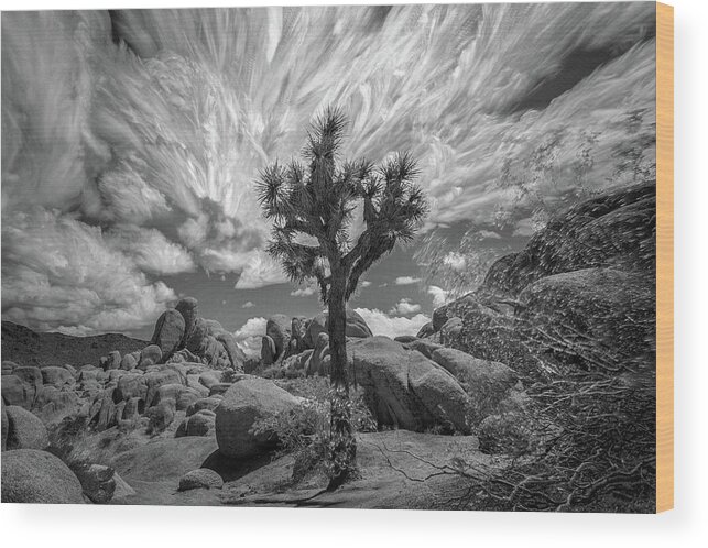 Desert Wood Print featuring the photograph Cloudscapes 3 by Ryan Weddle