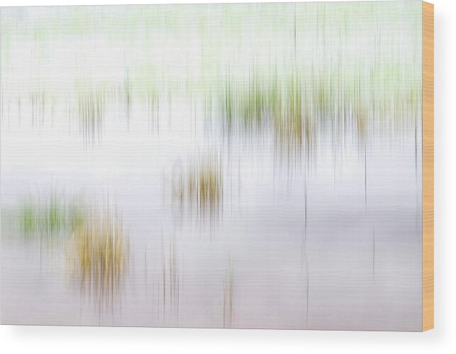 Lakes Wood Print featuring the photograph Cloudy Day At The Lake by Deborah Hughes