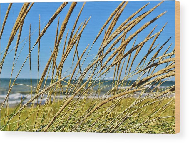 Coastal Living Wood Print featuring the photograph Coastal Relaxation by Nicole Lloyd