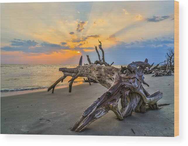 Charleston Wood Print featuring the photograph Coastal Sunrise - Charleston SC by Donnie Whitaker