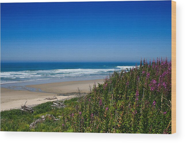 Nature Wood Print featuring the photograph Coastal View - Oregon - Roads End State Recreational Area by Diane Mintle