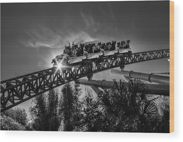 Theme Park Wood Print featuring the photograph Coaster Ride by Kevin Cable