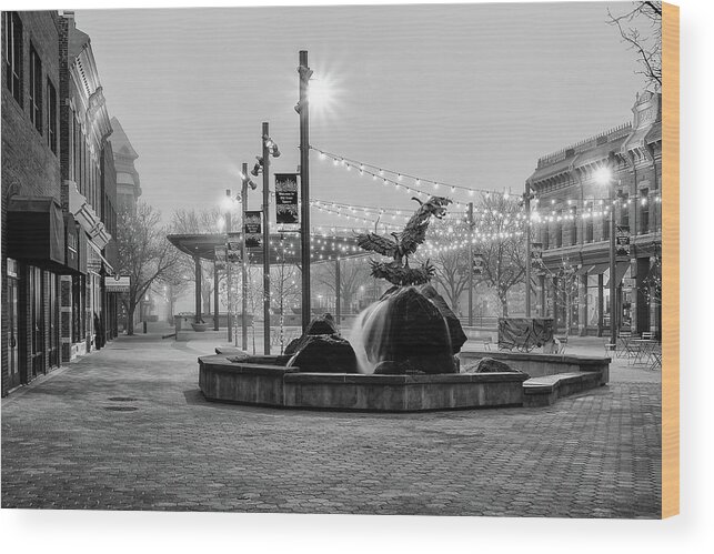 Fort Collins Wood Print featuring the photograph Cold and Foggy Morning by Monte Stevens