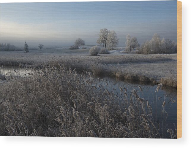 Landscape Wood Print featuring the photograph Cold by Nina Pauli