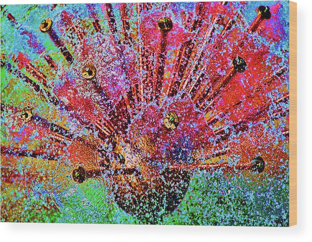 Water Fountain Wood Print featuring the mixed media Color explosion by Tatiana Travelways