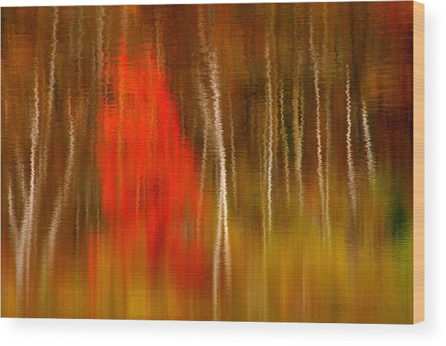 Reflection Wood Print featuring the photograph Color Reflections by Denise Bush