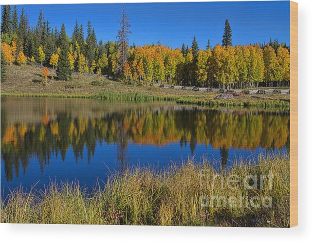 Autumn Reflection Wood Print featuring the photograph Colorado Autumn Morning by Jim Garrison