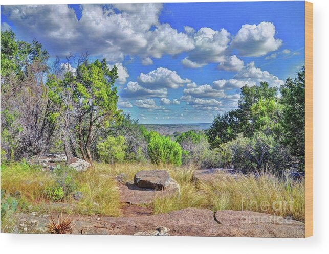 Colorado Bend Texas State Park Wood Print featuring the photograph Colorado Bend Texas State Park by Savannah Gibbs