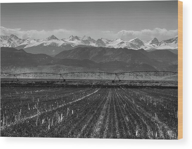 Farming Wood Print featuring the photograph Colorado Rocky Mountain Agriculture View in Black and White by James BO Insogna