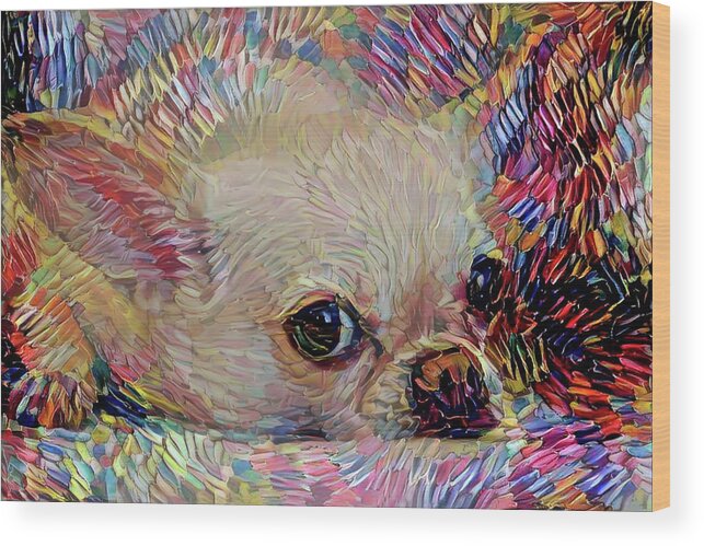 Chihuahua Wood Print featuring the mixed media Colorful Abstract Chihuahua by Peggy Collins