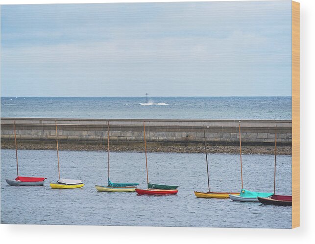 Marblehead Wood Print featuring the photograph Colorful Boats Lined up by the Marblehead Harbor Causeway Marblehead MA by Toby McGuire