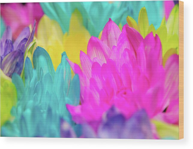 Abstract Wood Print featuring the photograph Colorful Dyed Flowers by SR Green
