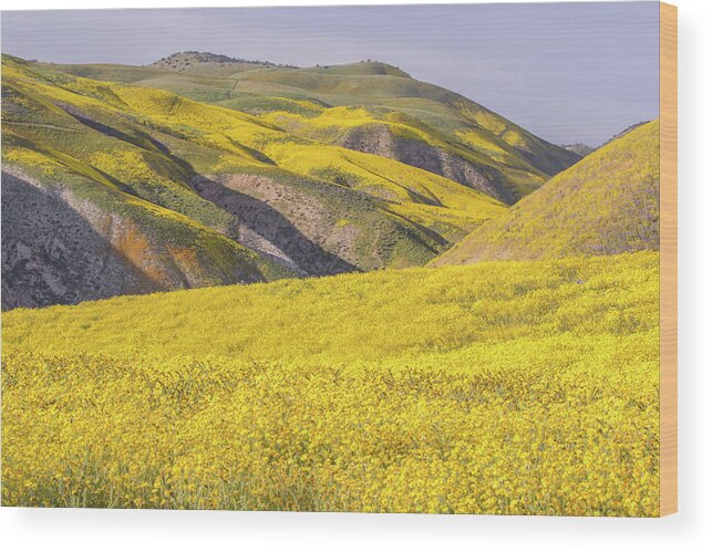 California Wood Print featuring the photograph Colorful Hill and Golden Field by Marc Crumpler