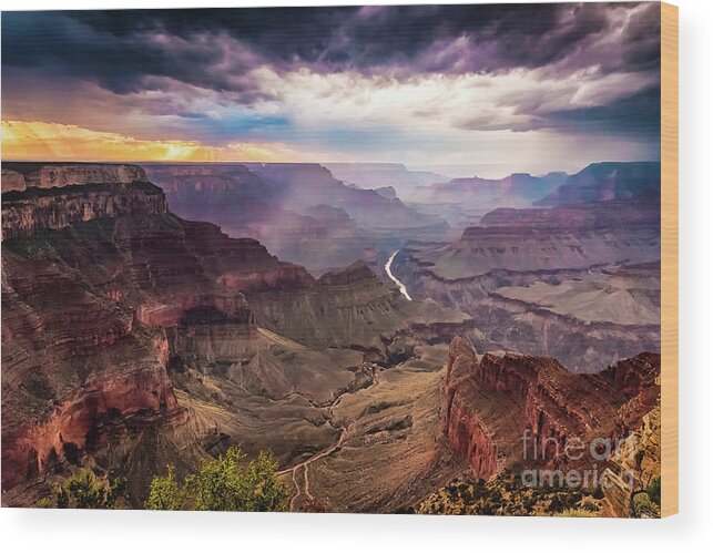 Grand Canyon Wood Print featuring the photograph Colors of the Canyon by Alissa Beth Photography