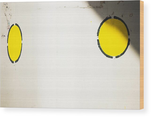 Two Yellow Dots Wood Print featuring the photograph Conditional Love by Prakash Ghai