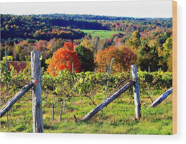 Gouviea Winery Wood Print featuring the photograph Connecticut Winery by Pat Moore