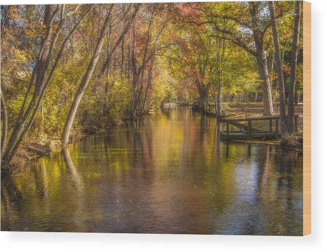 Autumn Wood Print featuring the photograph Connetquot Park in Autumn by Cathy Kovarik