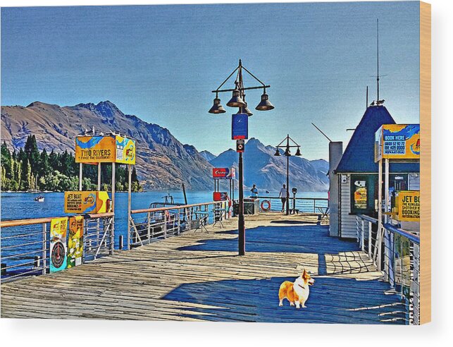 Pembroke Welsh Corgi Wood Print featuring the drawing Corgi at Queenstown New Zealand by Kathy Kelly