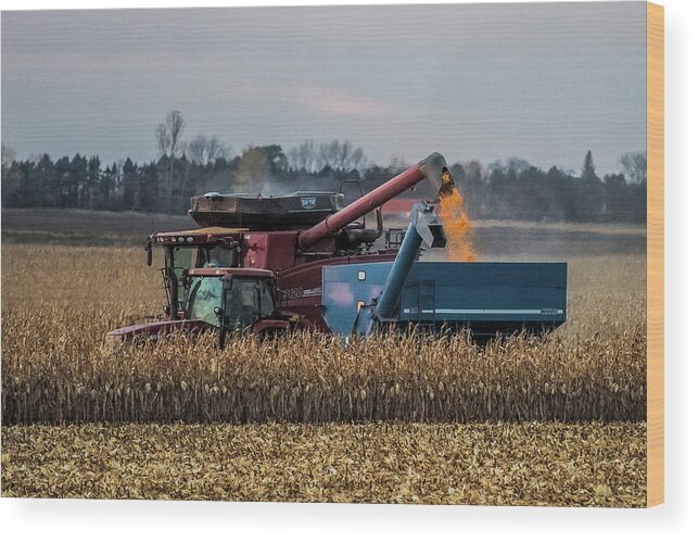 Corn Wood Print featuring the photograph Corn Harvest by Paul Freidlund