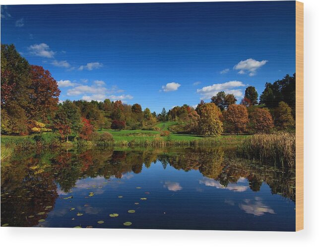 Cornell Wood Print featuring the photograph Cornell Arboretum by Paul Ge