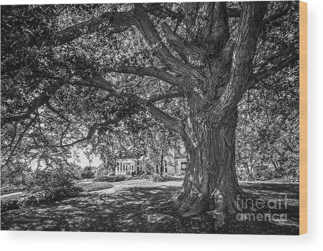Cornell College Wood Print featuring the photograph Cornell College Landscape by University Icons